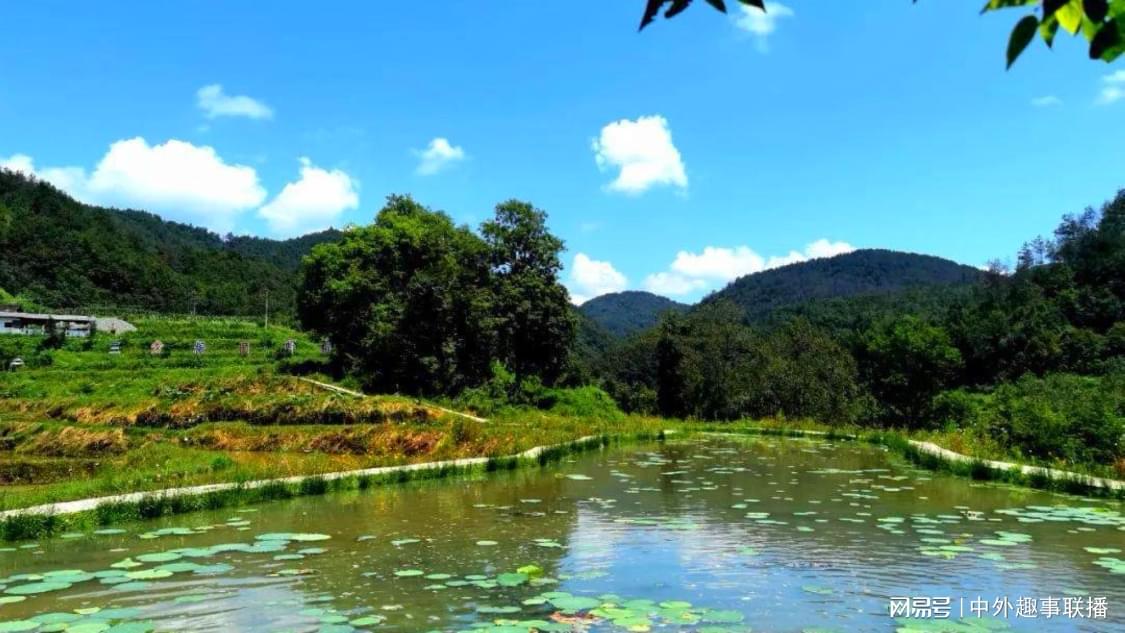 小林代网 dy低价业务网站