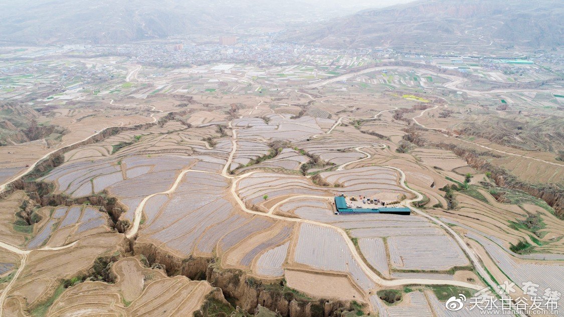 dy抖音代网站涨业务网站：网络营销推广实战策略指南