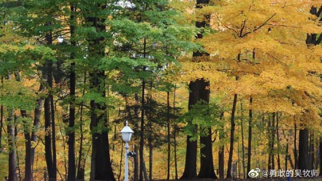 qq自助下单平台网